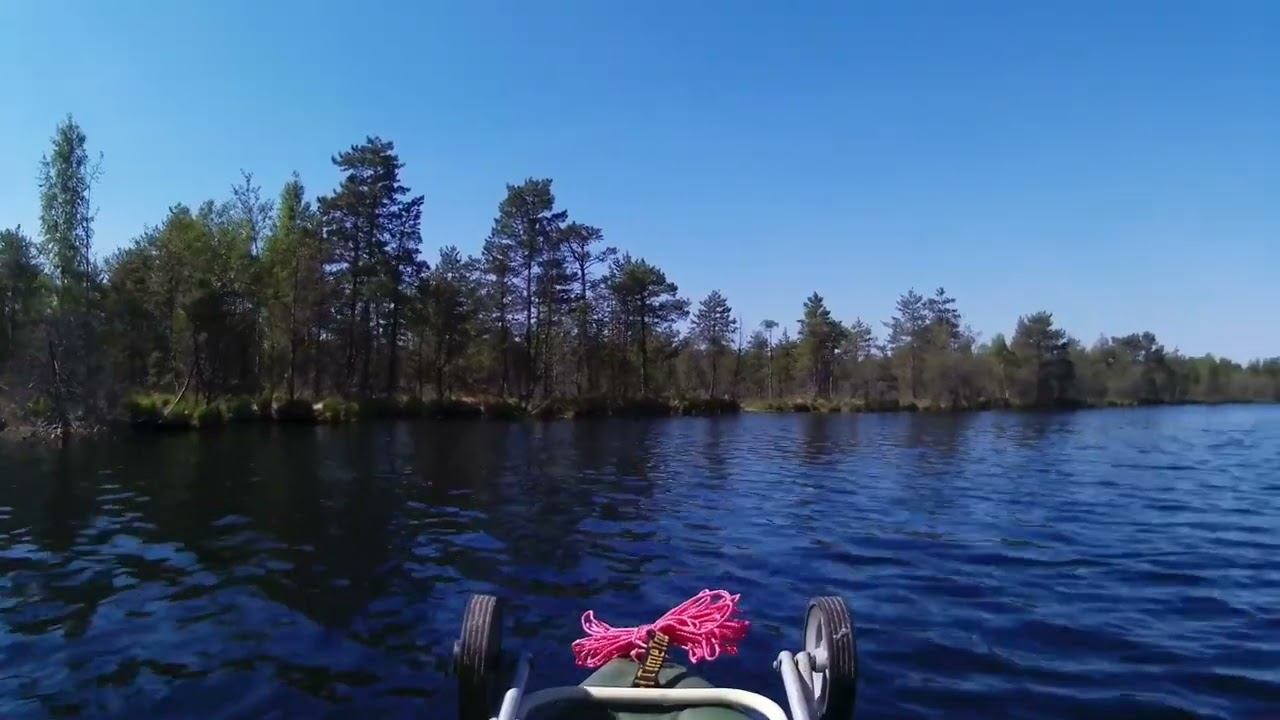 Царь знание. Махабхарата. Бхагавад-гита. наставления кришны. Глава9 Раджа-гухья-йога. читает крышень смотреть онлайн