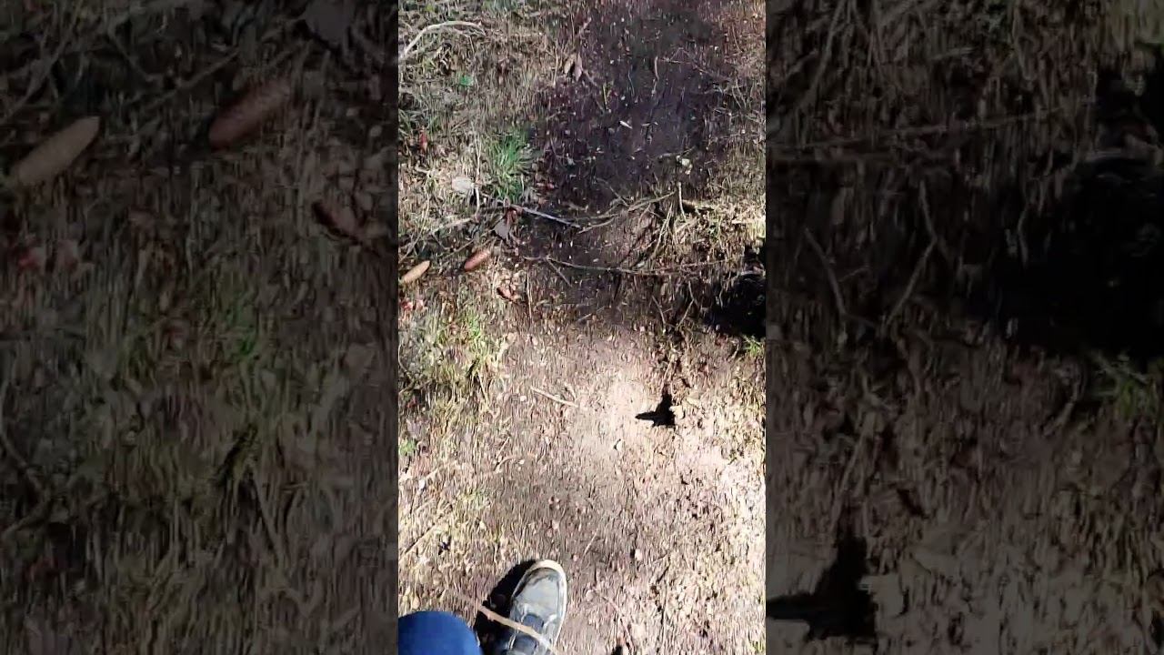 Дорога домой #сво #победа #дом