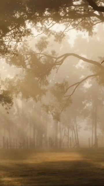 Шум, делающий Кокон Белым смотреть онлайн