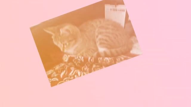 Первое видео/ Анна Рина смотреть онлайн