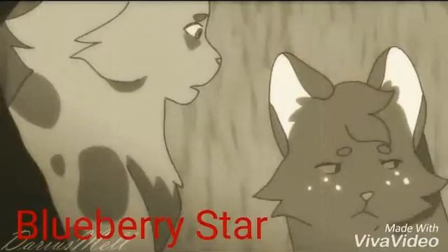 Коты воители/Давай уходи! смотреть онлайн