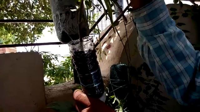 443 -Airlayering easily in Rainy Season/Barsaat me asaani se airlayering kaise karen(Hindi/Urdu) 7/ смотреть онлайн