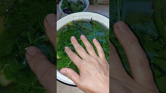 малосольные огурчики-рецепт от бабушки смотреть онлайн