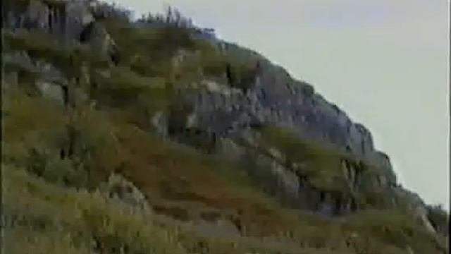 АДЭкспВ5 смотреть онлайн