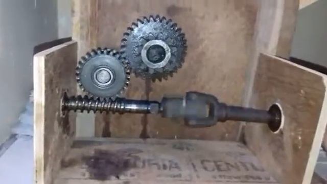 Model on spur gear and worm gear. 🔥🔥🔥 смотреть онлайн