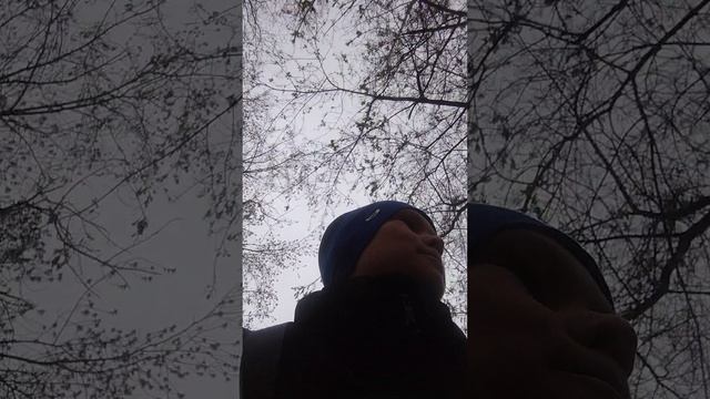 1000148527.mp4я на улице 1ч