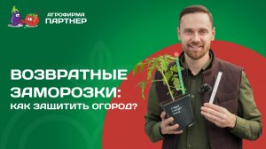 КАК ЗАЩИТИТЬ РАССАДУ ОТ ОБРАТНЫХ ЗАМОРОЗКОВ
