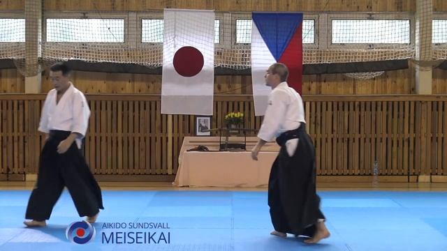 19 Aikido Yokomen Uchi Ikkyo Omote Shishiya Sensei, Horice 2016
