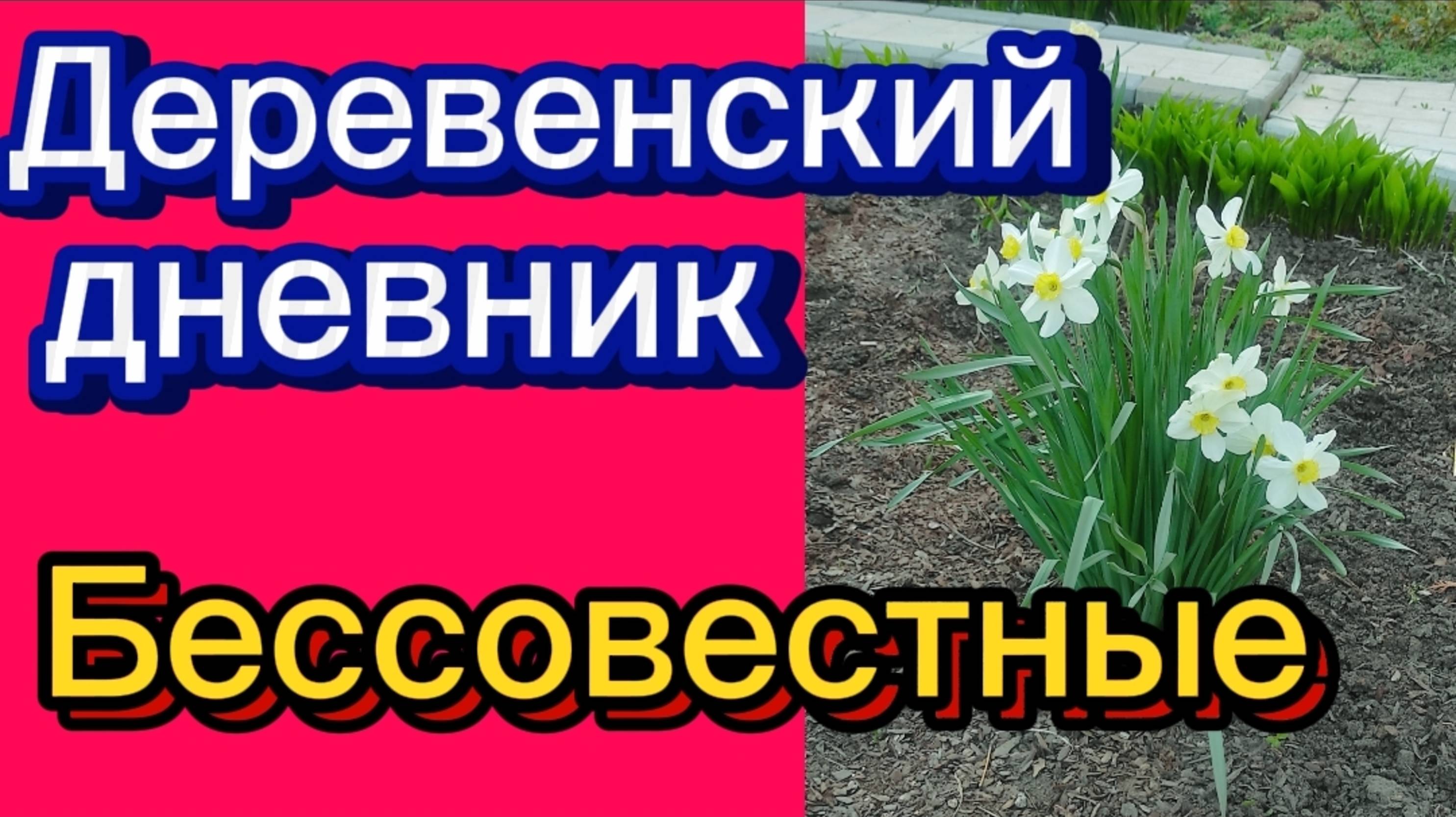 ДЕРЕВЕНСКИЙ ДНЕВНИК. "НИ СТЫДА, НИ СОВЕСТИ" смотреть онлайн