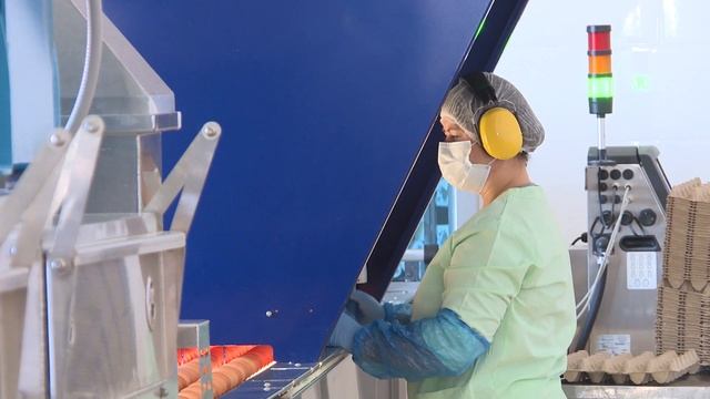 Солигорская птицефабрика модернизировала два цеха