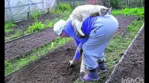 АХ, НА ДАЧЕ БЛАГОДАТЬ !  ПРИКОЛЬНАЯ ПЕСЕНКА ПРО ДАЧНИКОВ.