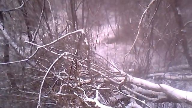Смоленск. Овраги на Покровке. Двое в овраге. смотреть онлайн