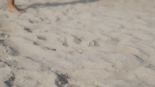 NUEKI, TOLCHONOV, SHPOIN - CHEREPASHKA (1 Hour)