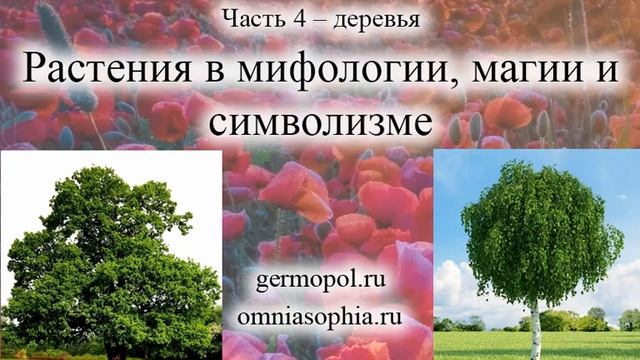 Растения в мифологии, магии и символизме Часть 4 - Деревья смотреть онлайн