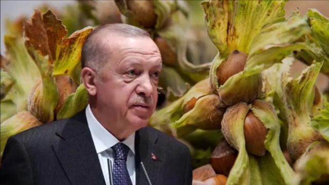 #sondakika Cem Küçük Şaşırttı: Üstübe Basa Basa Erdoğan'ı Uyardı! смотреть онлайн