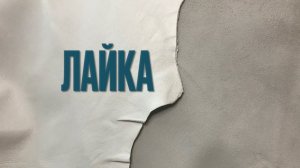 Лайка на клапана обзор