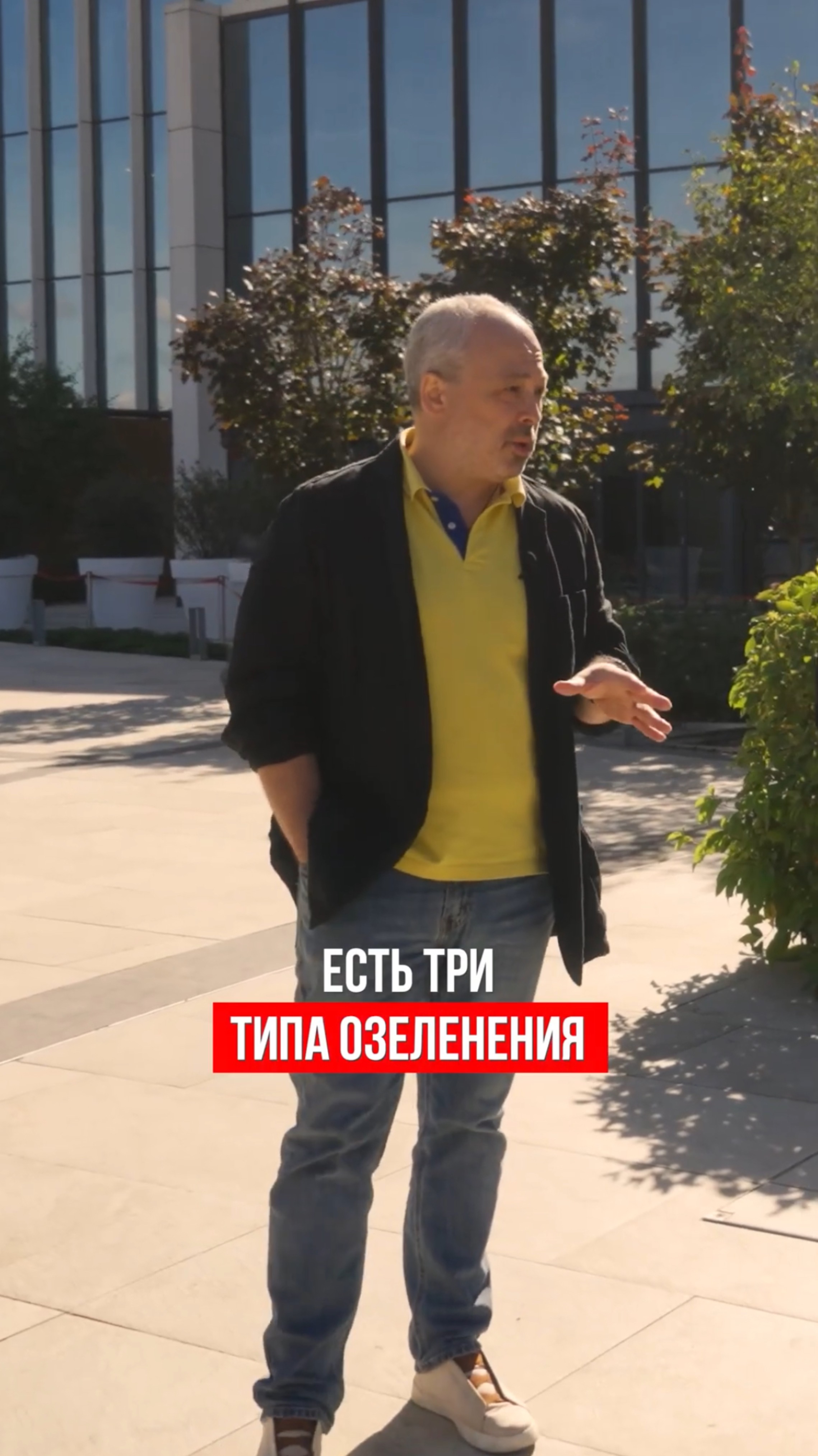 Типы озеленения плоских кровель смотреть онлайн