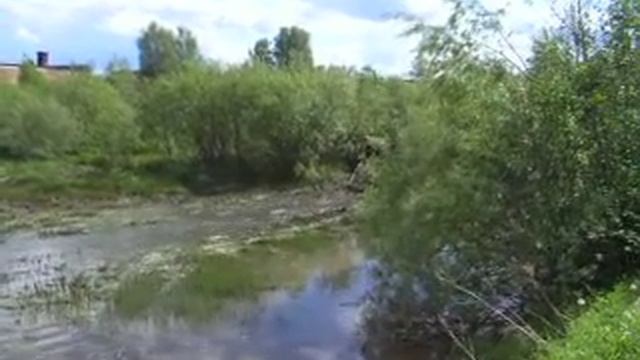 Гусеничник смотреть онлайн
