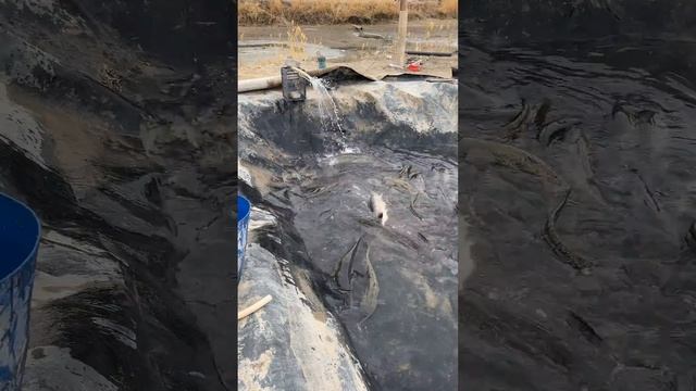 25 декабря 2023 г. смотреть онлайн