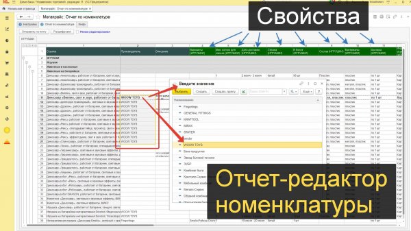Мега - Отчет РЕДАКТОР номенклатуры в 1С
