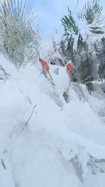 Не правильная весна в Крыму смотреть онлайн