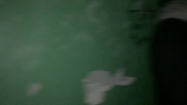 Влог, Прогуливаем учёбу, лазаем по крышам смотреть онлайн