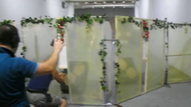 Упражнение 4. "Дачный парник" - Васильев В. смотреть онлайн