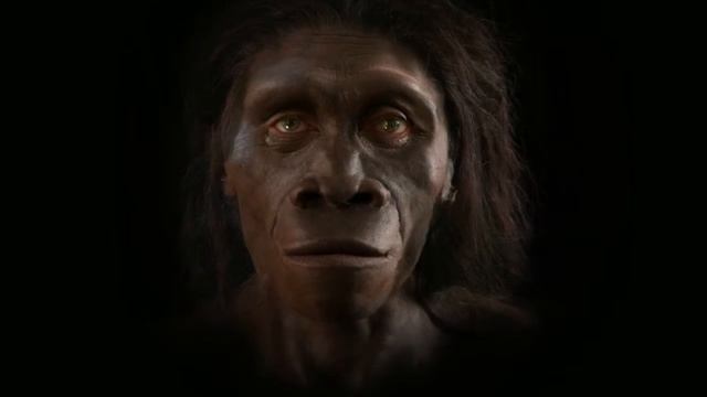 La formación de la humanidad смотреть онлайн