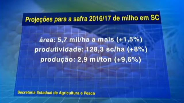 SC projeta aumento de área plantada com milho na safra 2016/17 - 22/09/2016 смотреть онлайн