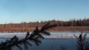 Архив. Начало весенней охоты на уток. Память о Володе.