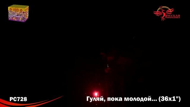 РС728 Гуляй, пока молодой 1,0