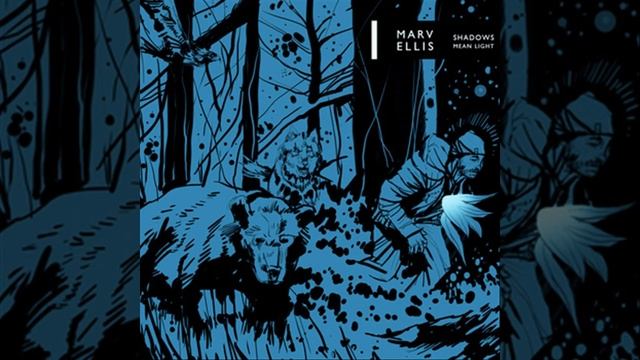 Lights Camera Action