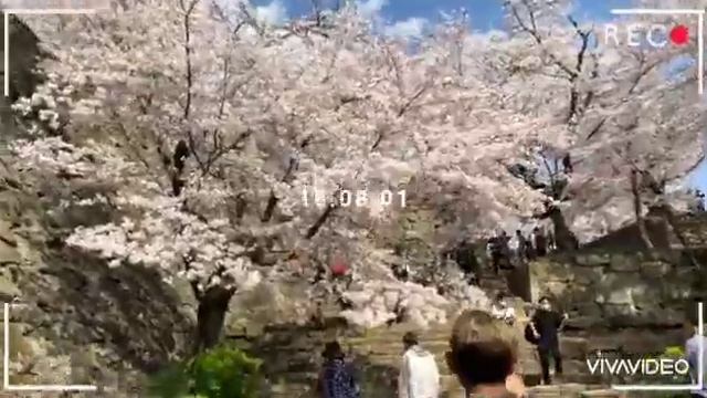 Japan for 3 years shigoto shimasu (depapepe cover "grab the guitar youtube") смотреть онлайн