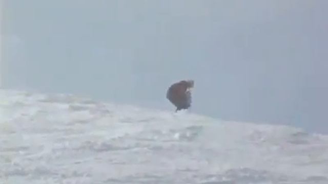 Евс и лыжи смотреть онлайн