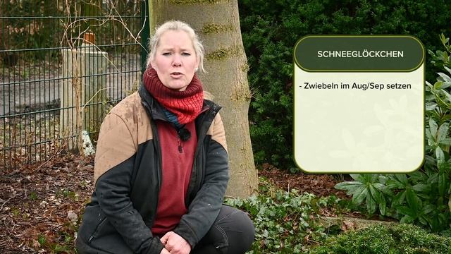 Schneeglöckchen - Alles über die beliebten Frühlingsboten смотреть онлайн