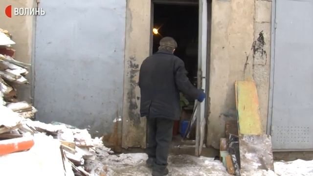 Як у Луцьку утилізовують ялинки та сосни