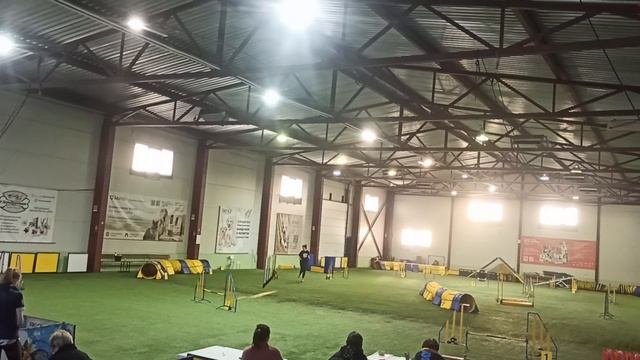 2024 01 20 Чемпионат СПб двоеборье/джампинг смотреть онлайн