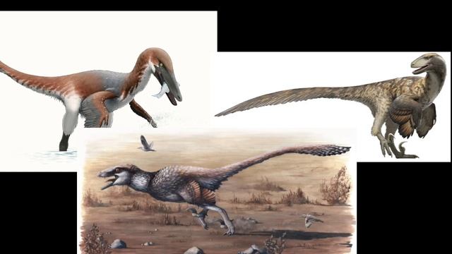 palaeopedia:imperobator смотреть онлайн