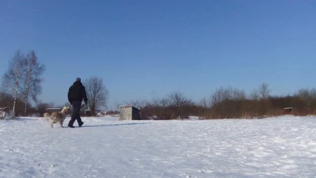 Учимся ходить Рядом(часть 2)