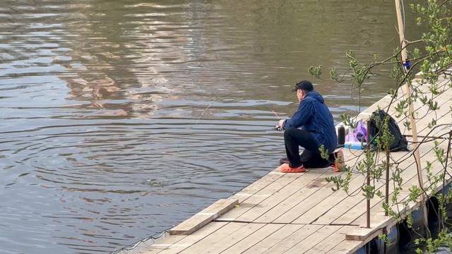 С.З обидный сход смотреть онлайн