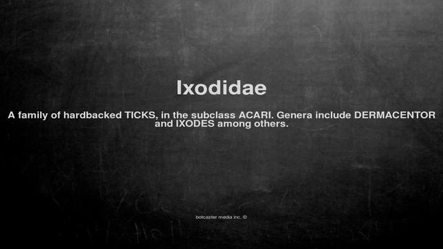 Medical vocabulary: What does Ixodidae mean смотреть онлайн