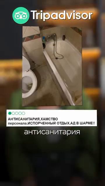 Египет запрещаю