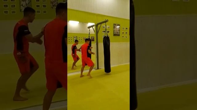 Шинкиокушинкай техника