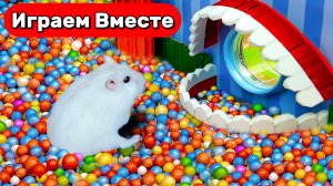 Хомяк в лабиринте 🐹 Побег Умного Хомяка из бассейна с препятствиями - весёлое видео для детей 🐹
