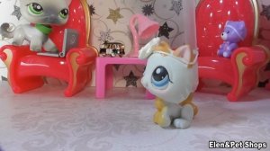 LPS ЦЫГАНКА 8 серия