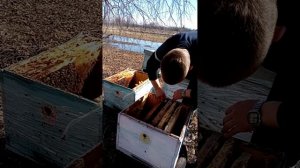 Что делаю,если семья опоносилась