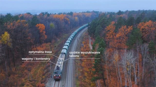 ZAMMLER GROUP: tworzymy historię logistyki razem смотреть онлайн