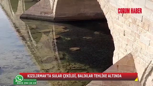 KIZILIRMAK'TA SULAR ÇEKİLDİ, BALIKLAR TEHLİKE ALTINDA! смотреть онлайн