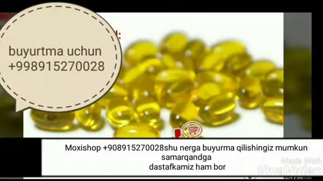 Chesnochniy kapsula xaqida смотреть онлайн