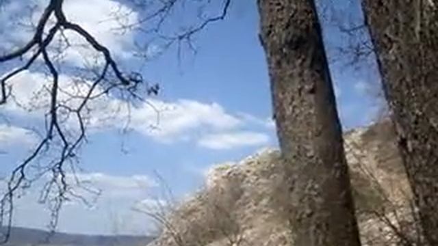 вон гора барсук 21 апр 19 г смотреть онлайн